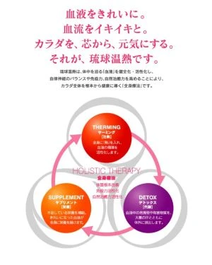 琉球温熱療法のコンセプトの体系化