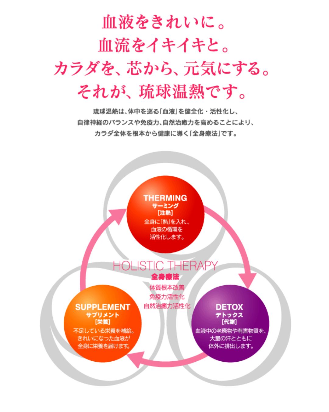 琉球温熱のコンセプト